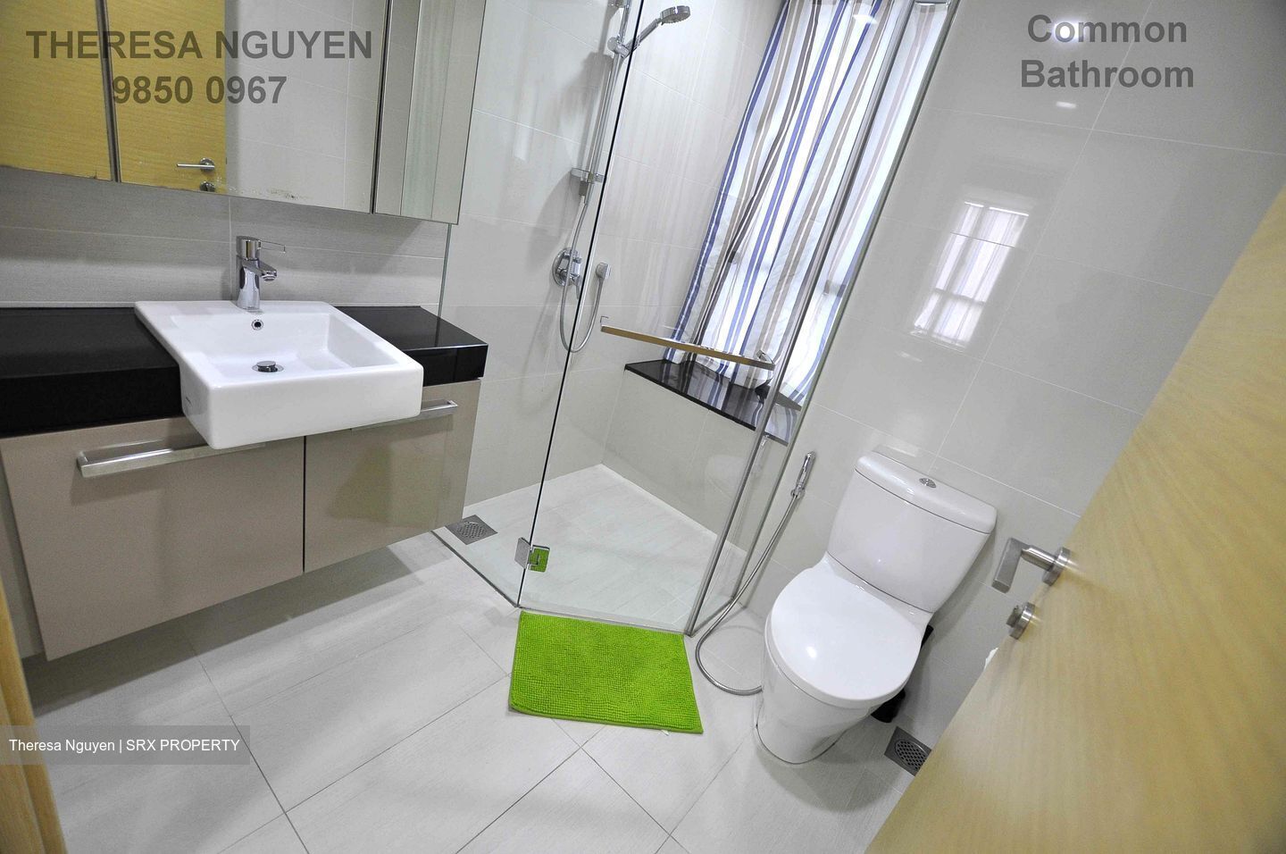 Cityscape @ Farrer Park (D8), Condominium #581122651